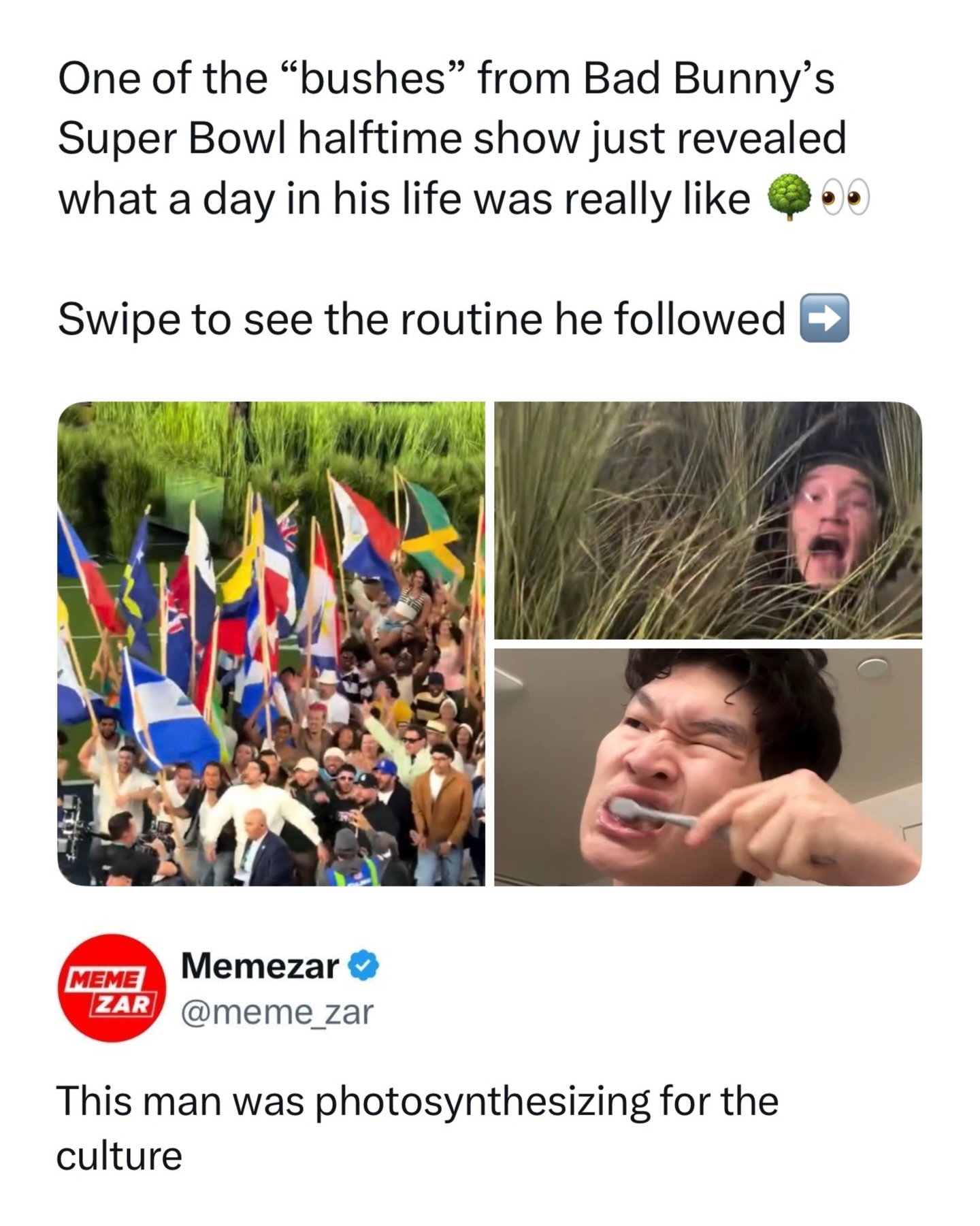 Turns out the guy hiding in the bushes during Bad Bunny’s Super Bowl halftime show was living a whole double life behind the scenes and he finally revealed what his day-to-day actually looked like. From sprinting through the grass like a wildlife documentary to brushing his teeth with the intensity of someone preparing for battle.. this man was truly in character 24/7 😭

(🎥: @vicivoli)

#memezar #badbunny #superbowl #halftimeshow #viralcontent