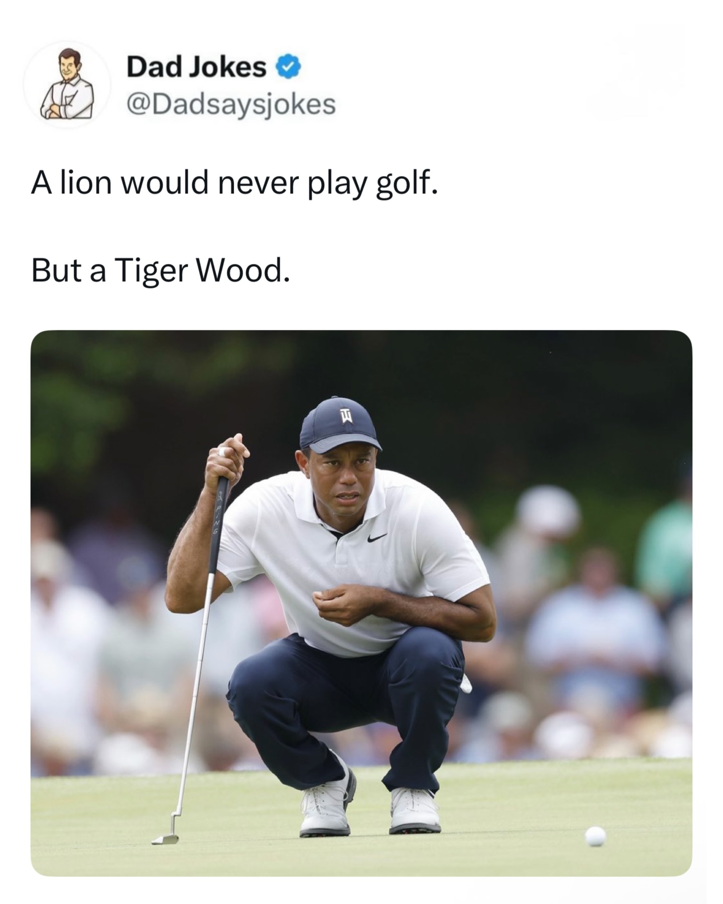 Why did Tiger Woods bring three socks instead of two?
In case he got a hole in one.

Like this content? Follow us for more @dadsaysjokes ❤️