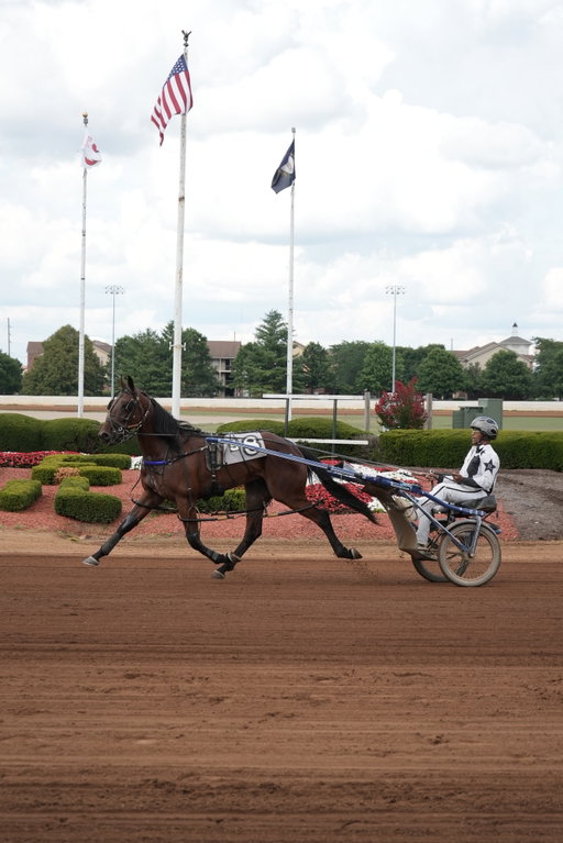 New to harness racing? Here's three things we bet you didnt know! 

🐎 We race behind the horses not on the horses 
🐎 Wagering is super fan friendly 
🐎 These horses are born to trot...literally

Follow @redmileracing to stay up to date on all things harness racing in 2026!