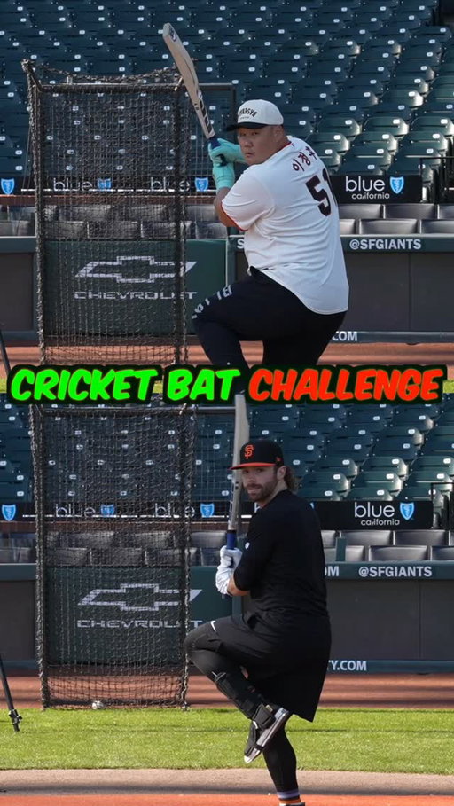 Can We Hit A Home Run With Cricket Bat At A MLB Stadium? #baseball #cricket #MLB
