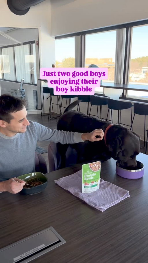 They’ve got that dog in them 🍽️
#wellnesspetfood #feedwellbewell #boykibble #dogsofinstagram
