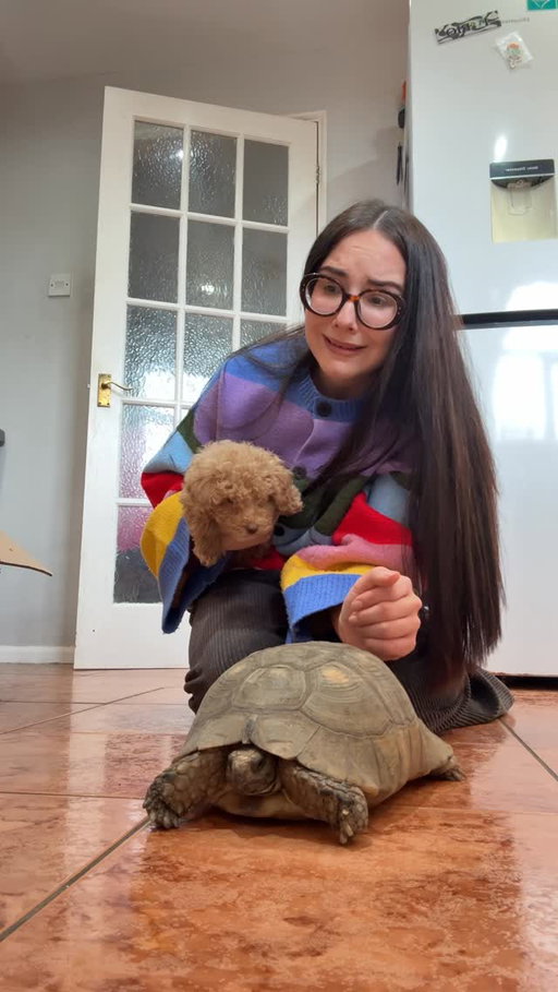 Welcome to 2026 I guess Joey 🐢
