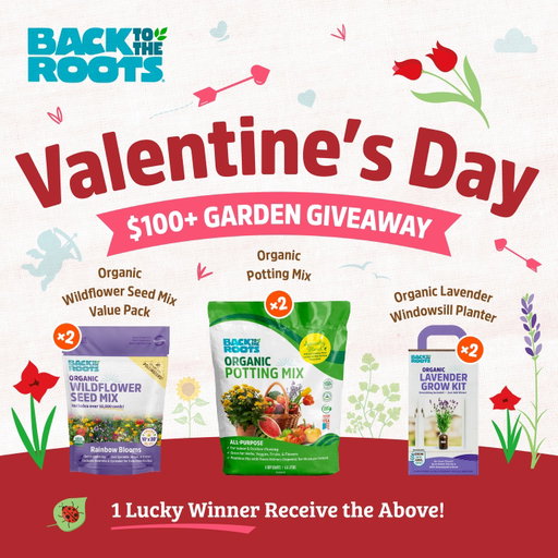 🌹$100 Valentine’s Day Giveaway 🌹

Roses are red, violets are blue… and this garden kit could be for you!

Skipping the chocolates this year, we’re giving one lucky winner a gift that truly blooms:

2 x Organic Wildflower Mix
2 x Organic Lavender Windowsill Planter
2 x Organic Potting Mix 6 QT 

To enter: 

1. Follow @backtotheroots_official.
2. Comment ‘WINNER’
3. Tag a friend you want to grow with. 

No purchase necessary. Contest ends 11:59 PM CT on 2/28/26. Open to US shipping addresses only. The winner will be notified via DM after contest end date. Void where prohibited. This contest is in no way sponsored, endorsed, administered by or associated with Instagram.

#organicgardening #gardeninggiveaway #gardengiveaway