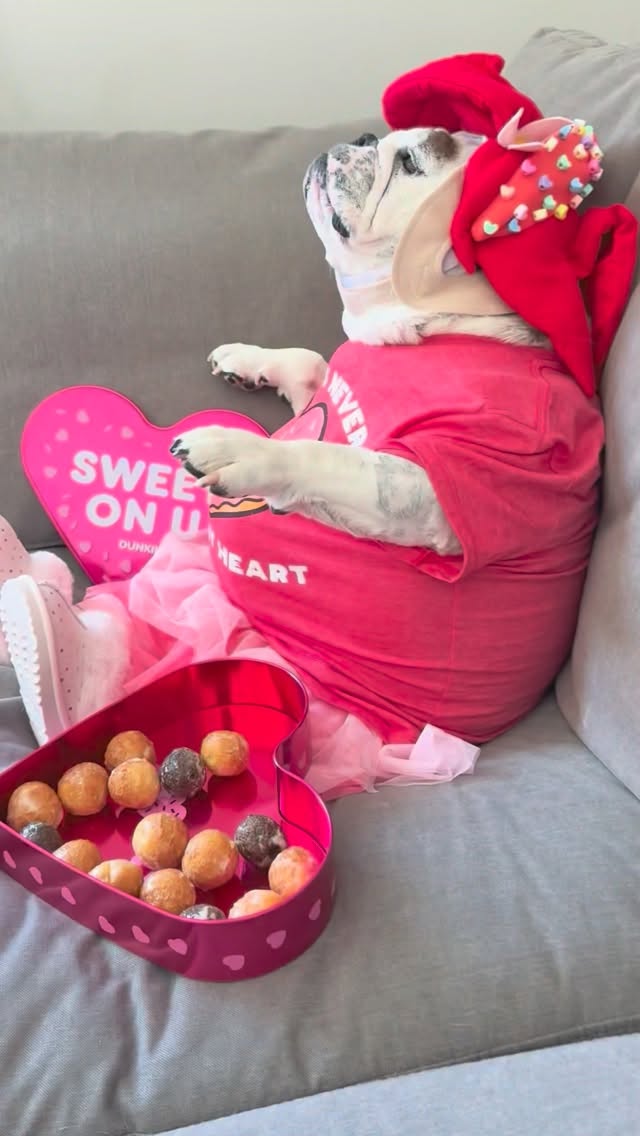 Donuts before dudes....🍩💜💓 Happy Valentine's Day everyone!! 🌹🍩 We love you! 💜💓 #valentine #asmr #love #dunkin #donuts