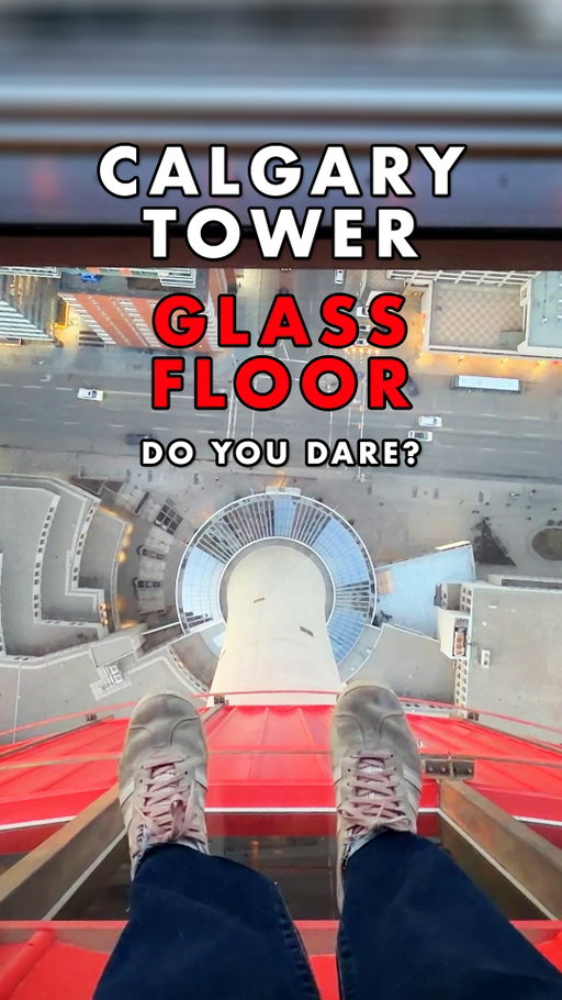 The Calgary Tower has 360 degree views of the city and stands 191m tall. Would you walk on the glass floor? 👀 

#calgarytower #travelalberta #yyc #calgary #yycnow 

@calgarytower @tourismcalgary