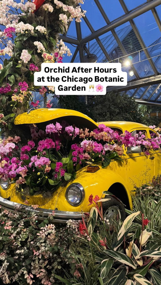#ad 🌸 The Orchid Show: Feelin’ Groovy is now open at the Chicago Botanic Garden! It runs daily through March 22 from 10 AM-4PM

🌙🍺🍸 On select Thursdays, Fridays, and Saturdays, Orchids After Hours offers an evening look at the orchids with cocktails and light bites for purchase from 5-8 PM

And don’t forget to mark your calendar for their 21+ Nights on February 21 and March 21 featuring a silent disco with iconic throwback hits. 🎧

🌸 (CLOSED) GIVEAWAY!! 🌸

 Win two VIP tickets and parking to The Orchid Show:  Feelin’ Groovy  at @chicagobotanic!!

How to enter:

• Tag your flower buddy in the comments
• Like this post
• Follow @chicagobotanic

Winner will be announced one week from today on my INSTAGRAM STORY ONLY! Must be 18+ years old to enter. Good luck!

#chicagobotanicgarden #chicagoland #chicagoevents #thingstodoinchicago