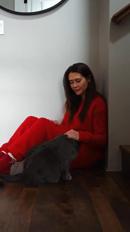 The month of love, featuring our animals who only get along when they’re being fed @iandloveandyoupet. It works every time. Carl gets his favorite stew from ily pet and Al gets their stir and boom (which is great for travel because it’s freeze dried!) #ilypetpartner