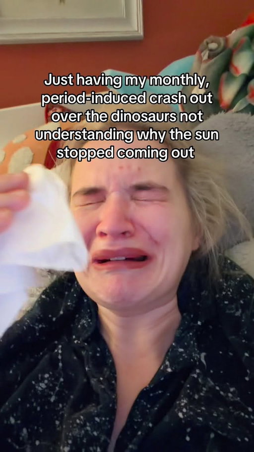 Other things I lose my mind over: Laika, the Brachiosaurus left behind on the island at the end of Fallen Kingdom, Mars Rover singing to itself, the Angler Fish, Pigeons, Hachiko, The Penguin, The Loneliest Whale, Littlefoot and his mums shadow, Beta Fish, Missing Animal Posters, The Triassic Cuddle, Roadkill, the last the Kauai ‘O’o final song, the two-headed calf…. It’s truly endless. Honestly this world is empath hell. What’s your period-induced crash out?

A quick break from political posting in light of the the comments on my other vids. Obviously I’m aware there are bigger issues in the world, hence why my content is 90% about that. Love youuuu 🙆‍♀️