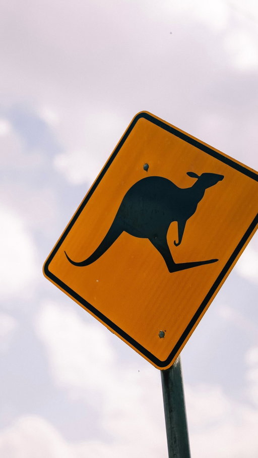 *No kangaroos were harmed in the making of this film*

#bathurst12hr #bathurst 
#motorsports #kangaroo