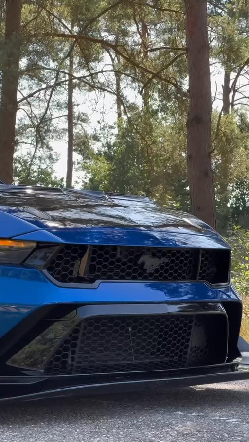 The Year of the Horse. Powered by pure Mustang horsepower. 🐎

#Ford #FordMustang #MustangGTD