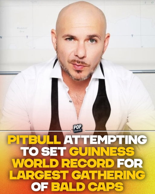 #Pitbull & BST Hyde Park are officially hosting a Guinness World Records attempt for the ‘largest gathering of people wearing bald caps’ during his headlining show on July 10th.