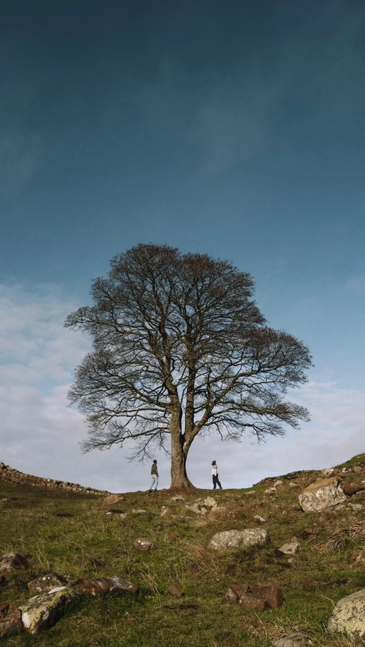 Send this to who you want to explore with 🧚‍♀️

📌 Make sure you SAVE this for your own trip

Northumberland is England’s most northern county, known for its abundance of castles (the most in any English county) remote and wild spaces, ancient history dating back to the Vikings and epic dark skies. 

Northumberland is incredibly underrated, which means you can enjoy it crowd free year round. It’s definitely one of our favourite corners of the country…

DON’T miss these spots👇🏼

🏴󠁧󠁢󠁥󠁮󠁧󠁿 Holy Island & Lindisfarne Castle
🏴󠁧󠁢󠁥󠁮󠁧󠁿 Bamburgh Castle & Beach 
🏴󠁧󠁢󠁥󠁮󠁧󠁿 Northumberland National Park 
🏴󠁧󠁢󠁥󠁮󠁧󠁿 Dunstanburgh Castle 
🏴󠁧󠁢󠁥󠁮󠁧󠁿 Cragside National Trust 
🏴󠁧󠁢󠁥󠁮󠁧󠁿 Warkworth Castle 
🏴󠁧󠁢󠁥󠁮󠁧󠁿 Hadrian’s Wall (Sycamore Gap Walk) 
🏴󠁧󠁢󠁥󠁮󠁧󠁿 Alnwick Castle 
🏴󠁧󠁢󠁥󠁮󠁧󠁿 Farne Island 

Comment “GUIDE” and we’ll send you our free in-depth guide to exploring Northumberland and follow @thenomadsyouknow for more underrated destinations 🩵

Have you visited Northumberland yet? 
•
•
•
•
#northumberland #england #uktravel #travelguide #adventuretravel