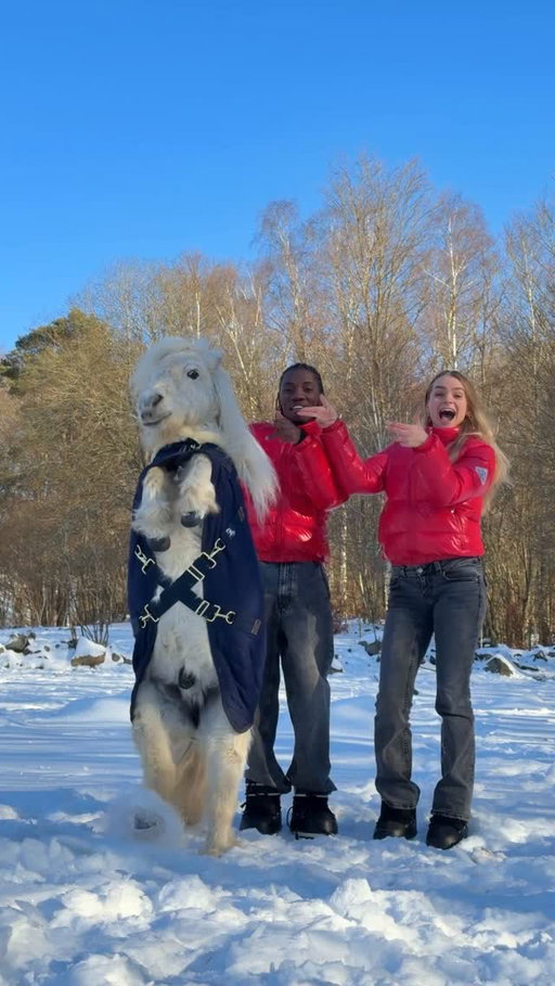 Ever seen a dancing pony? Wait till the end🦄 #dance #trend #sweden