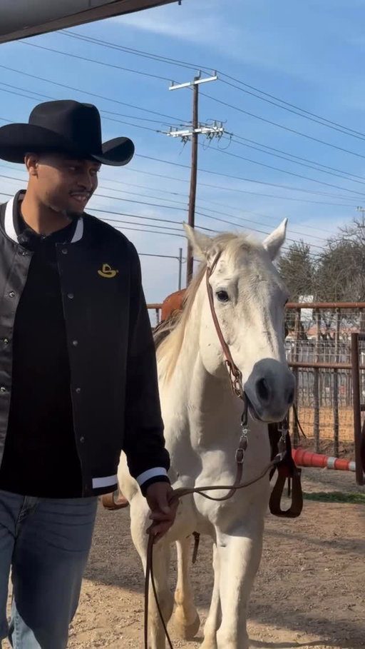 heard it was the Year of the Horse 🐎