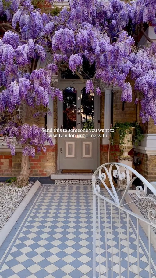 This is your sign to book a trip to London this spring 💐🌸🧺💜☀️

Below are my favourite areas in London to see spring at its best - think scrumptious cherry blossom and beautiful wisteria:

🌸 Notting Hill
🌸 Chiswick 
🌸 Chelsea 
🌸 Richmond 

#london #spring #springinlondon #beautifuldestinations #visitlondon things to do in London, london itinerary, how to spend spring in London, what to do in London, places to visit in London