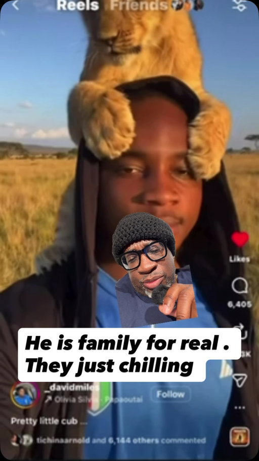 This is the kind of safari  I want to experience but it want be like this for me huh ? 🤔