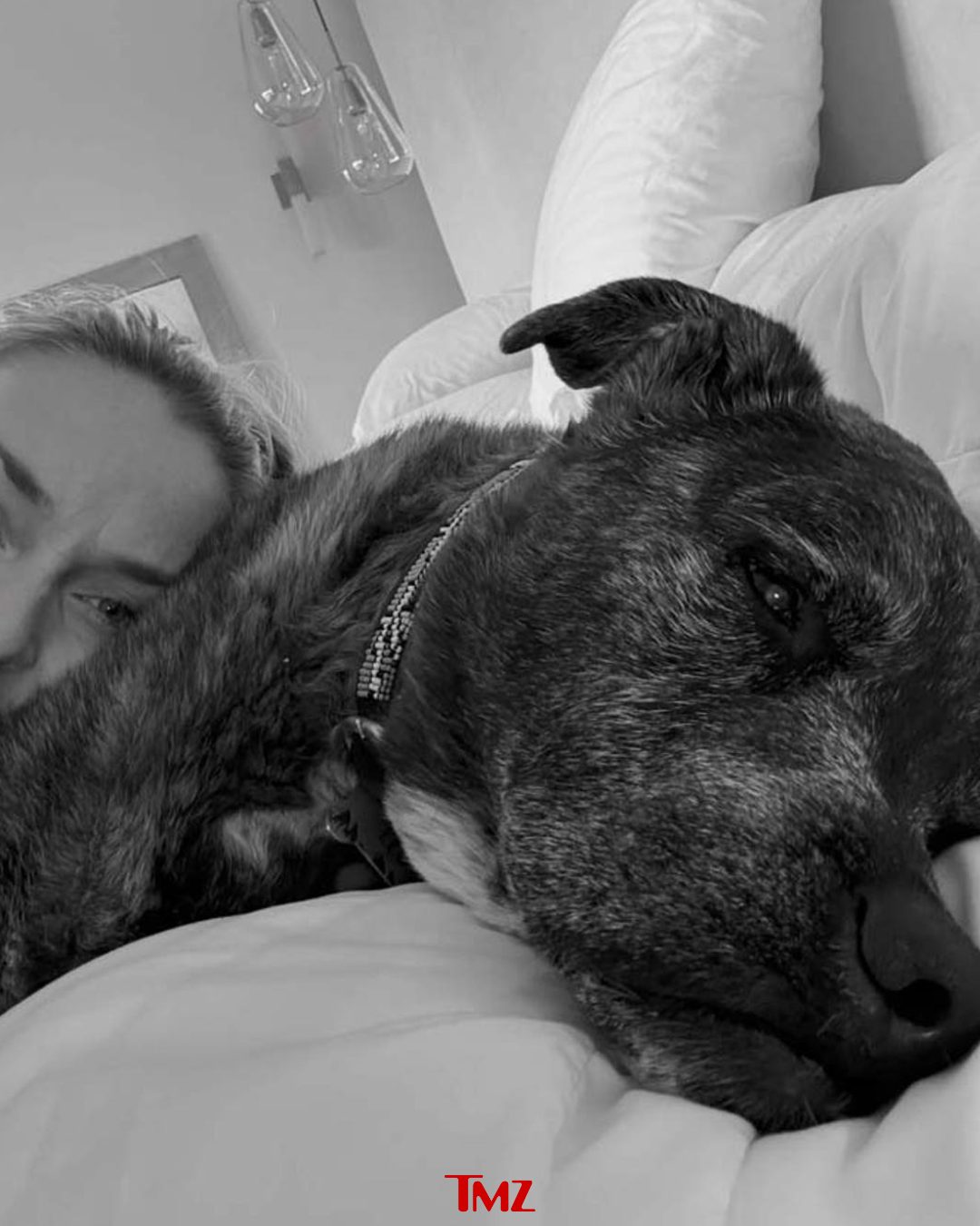 💔Lindsey Vonn's dealing with a personal tragedy on top of a professional one ... because the day after she crashed in Milan, ending her 2026 Olympic dream, her dog passed away. 

Her statement at the link in bio.