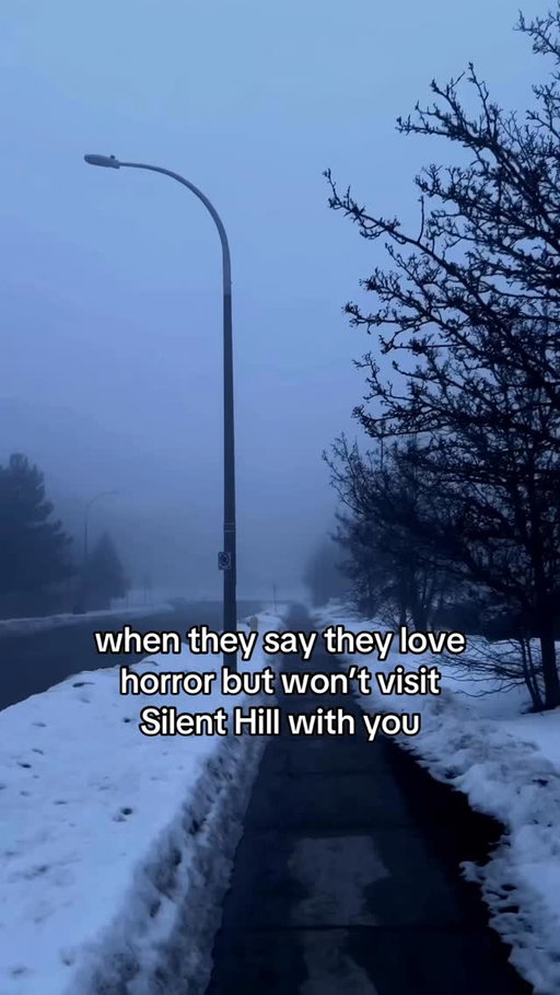 perfect walking weather actually, i love fog 😍

#silenthill #fog #videogame #horror