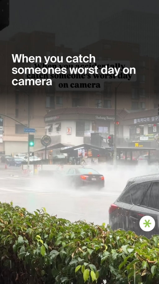 To be fair, Angelenos don’t know how to deal with the rain 😭🥲😅 #meme #mysecretla

📹: horoscopecalledmemcrib/ TikTok