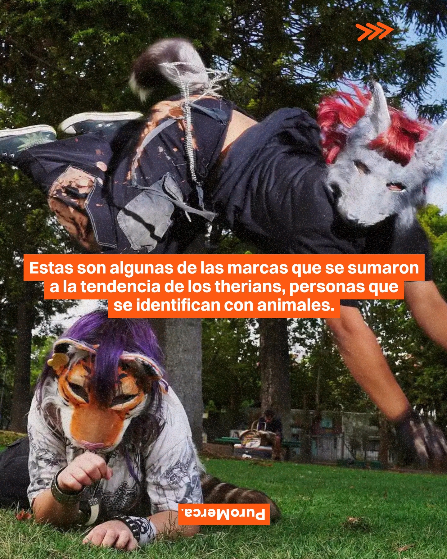 En los últimos meses, el término therian empezó a circular con fuerza como una subcultura donde algunas personas se identifican con animales. Su visibilidad abrió nuevas conversaciones culturales que hoy también llaman la atención de las marcas. 🐺📱

A partir de esa conversación, marcas como Rexona, Uber México, Canva, HBO Max, Netflix y más comenzaron a sumarse con publicaciones que adaptan la tendencia desde el humor, el entretenimiento y mensajes pet friendly. 🚗🐕

El concepto viene de therianthrope y se refiere a una conexión emocional, psicológica o espiritual con animales. Aunque hoy se viraliza en video, sus orígenes están en comunidades digitales de los noventa, lejos de la ficción o los mitos. 🧠🐾

Con el tiempo, la comunidad creció y encontró en lo digital un espacio para expresarse. Máscaras artesanales, movimientos que imitan animales y videos breves se volvieron parte de su estética. 📹🐅

¿Qué opinas sobre cómo las marcas están participando en esta conversación de therians? 🐈‍⬛🧩

#PuroMerca 🧡