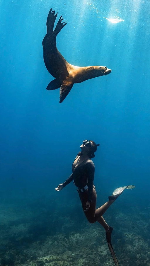 Didn’t see that coming 👀 

I have so many favorite videos but somehow they always include sea lions… my forever favorite ocean animal 🦭 
@isalassinaro and I were just filming and playing around and this happened. I was so focused on the little flower and then BOOM a curious sea lion came to check us out 💀😅😂 yes I got absolutely scared hahaha (my underwater scream says it all). The ocean will never stop surprising me and this moment is high on the list. 

On @oceangalz expedition 🧜🏻‍♀️ 
Cover pic: @kalsullins @coconut_salt 

#sealion #oceanworld #oceanlove #bubblering  #sealion