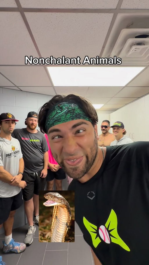 Comment your favorite below 🐍🤣

#nonchalant #animals #cringe #funny #comedy