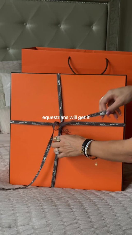 for a very specific audience to appreciate 🐎 🤭🧡

#equestrian #hermes #unboxing #showjumping #equestrianstyle