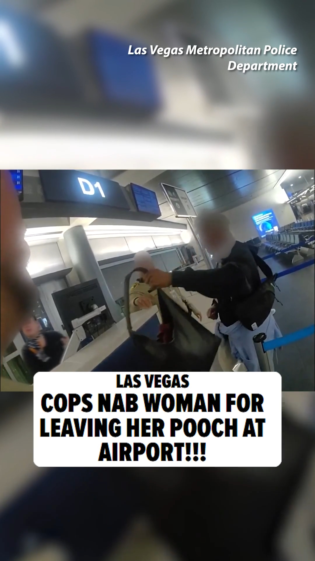 🐶 Dog owners are usually asked to pick up after their dog ... but authorities in Las Vegas just wanted a woman to pick up her actual dog and take it with her -- and they arrested her when she allegedly wouldn't. 🚨👮

Full story at the link in bio. 

🎥: Las Vegas Metropolitan Police Department