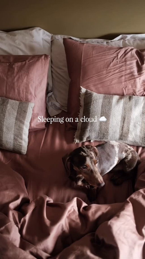 ☁️ The cosiest (and Otis approved 🐾) set from @riseandfall in Clay 

Ad 

-
Home and Bedroom decor, bedding set, cosy interior, pink bedding