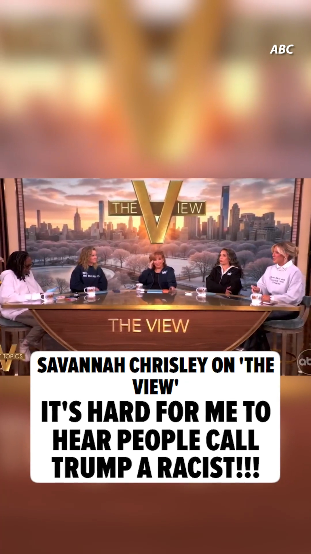 Savannah Chrisley says President Trump is NOT a racist ... but the women on "The View" beg to differ ... and they confronted her right to her face!!!

🎥: ABC

Full story at the link in bio.