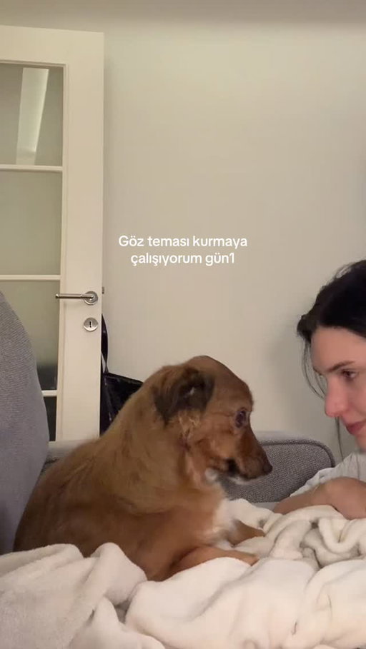 Goz temasi kuramayis reis