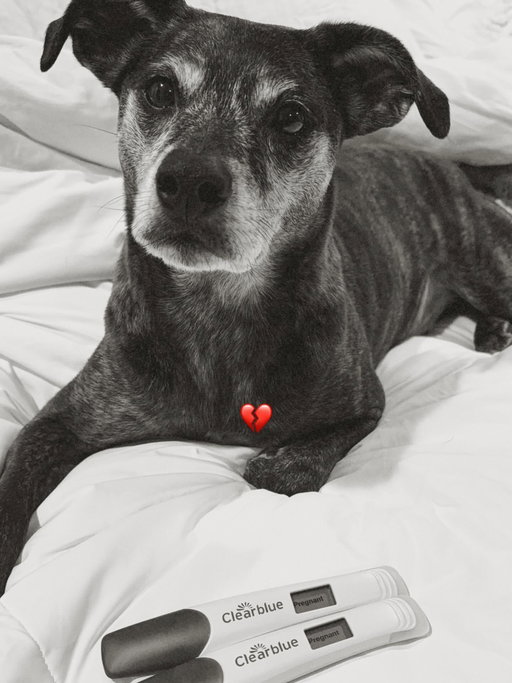 Last Thursday morning I took myself to the emergency room with what had become the worst 6+ day migraine of my life. By the end of that same day, I started miscarrying.

I was very sick in early pregnancy, and that sickness ultimately turned into loss which overall has me very off my own rocker. 

I know miscarriages are a numbers game. I truly believe that. Joey and I also firmly believe the right baby will stick, and we will make incredible parents one day soon.

I’m not looking for advice or sympathy. I’m simply asking for prayers—for the right baby to come at the right time. And I’m sharing this because keeping it to myself would have felt like living a strange, silent lie.

In the meantime, I’m slowly healing and finding my way back to myself… because truthfully, I haven’t felt like me in what feels like a fahkinggg minute. ❤️‍🩹