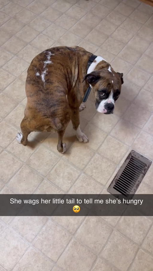 Too cute 🥹

(Credit: Kristen Chapman)