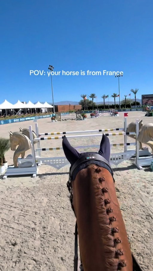 mon bébé dans la 1.40m hier 🧡 When I told him to slow down a little bit “doucement un petit peu” he came back to me so nicely 🥹 Ruby is the best!! Vraîmemt le meilleur cheval dans tout le monde :)

@voltairedesignusa_can 
#equestrian #showjumping #horsegirl #horseshow #equestriansofinstagram