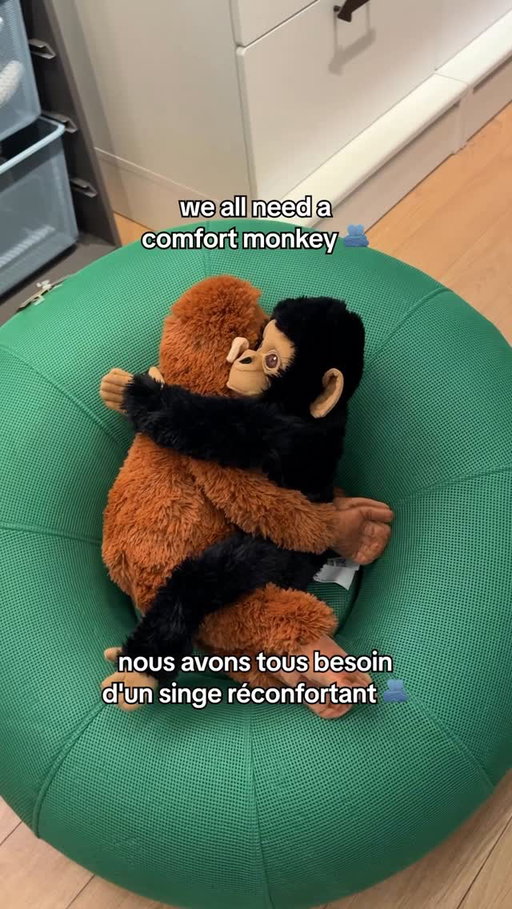 We get you Punch. 🥲

We believe stories that touch hearts deserve to be told. 
 
Many have been following Punch this week, a baby Japanese macaque at Ichikawa City Zoo and Botanical Gardens, who has found great comfort in his IKEA soft toy while adjusting to his new life.

In close collaboration with @ikeajapan, the Zoo, and the City of Ichikawa, a donation of soft toys was made to support Punch and the children who visit. The aim is simple: to offer comfort and reassurance while fully respecting Punch’s wellbeing and the zoo’s circumstances.

We wish Punch all the best as he continues to grow and thrive.🐒✨

-

Nous comprenons, Punch 🥲

Nous croyons que les histoires touchantes méritent d’être racontées. 

Cette semaine, nombreux sont ceux qui ont suivi les aventures de Punch, un bébé macaque japonais du zoo et jardin botanique d’Ichikawa, qui a trouvé un grand réconfort dans sa peluche IKEA pour s’adapter à sa nouvelle vie. 

En étroite collaboration avec @ikeajapan , le zoo et la ville d’Ichikawa, un petit don de peluches a été fait pour soutenir Punch et les enfants qui lui rendent visite. L’objectif est simple : lui apporter réconfort tout en respectant pleinement son bien-être et les contraintes du zoo. 

Nous souhaitons à Punch une belle continuation dans sa croissance et son épanouissement. 🐒✨

#ikeacanada #KeepGoingPunch #がんばれパンチ
