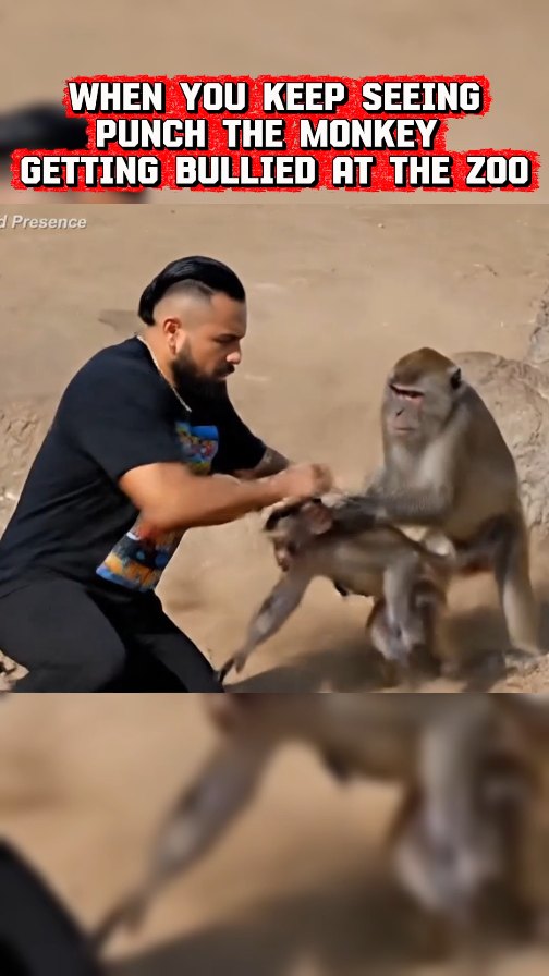 When you keep seeing Punch Monkey getting bullied at the Zoo, you have to do what you have to do. Haters will say its AI

#punchmonkey