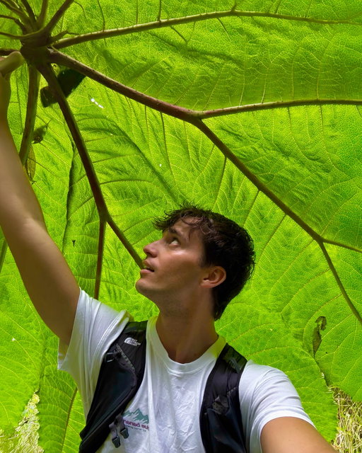 febrero en Costa Rica 🦥💘🌱🥥