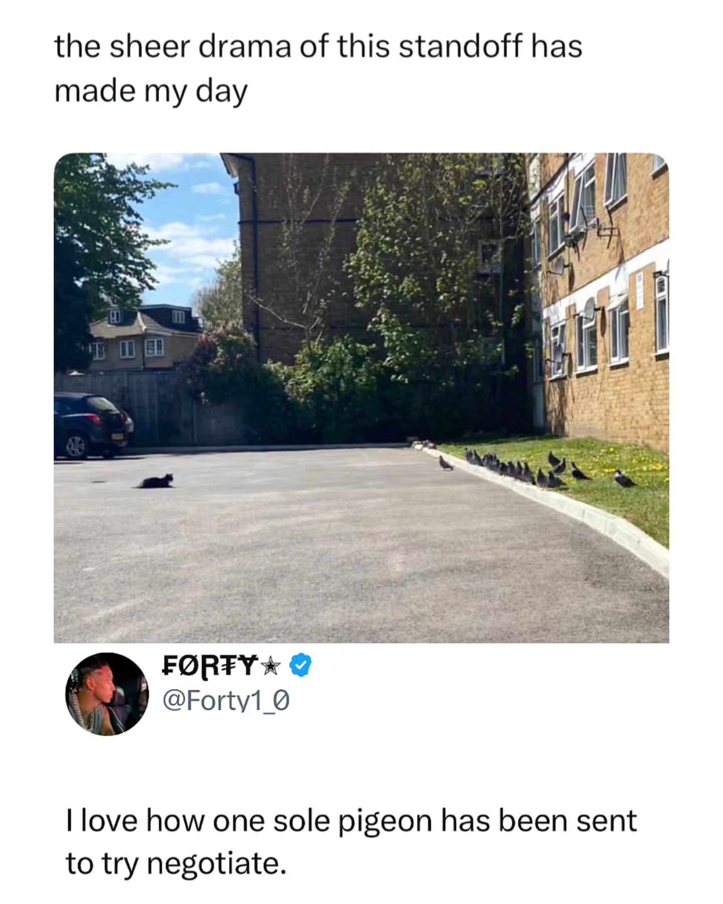 When both sides send their weakest soldier first

One cat in the middle, a full pigeon squad on the side, and one brave negotiator slowly walking forward like this is a peace treaty.

This isn’t a parking lot anymore. It’s a high-stakes diplomatic meeting and everyone’s waiting to see who moves first.

Like this content? Follow @memezar for more ❤️

#memezar #animalmemes #funnyanimals #internetmoment