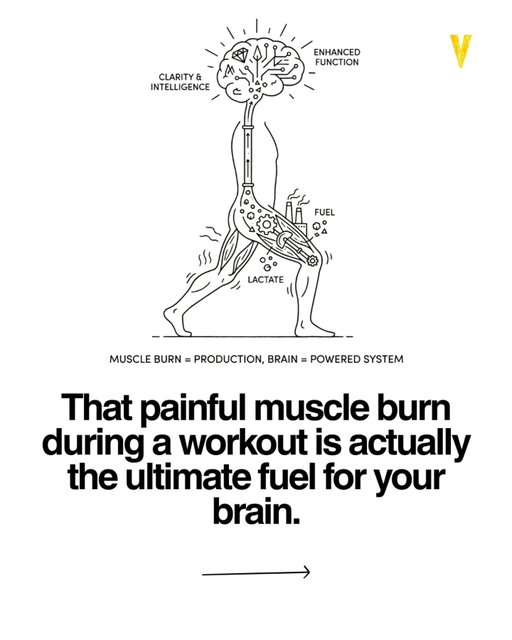 You’ve felt that deep muscle burn and thought something was going wrong.

But what if that exact feeling is your brain getting stronger in real time.

For years, scientists believed lactate was just waste from hard exercise.

Now we know it is actually one of your brain’s favorite fuels.

When you push your body hard, your muscles produce lactate, which travels through your blood and crosses into your brain.

Your neurons don’t just accept it, they prefer it during intense demand because it provides faster, more efficient energy than glucose in certain conditions.

That is why after a brutal workout, your mind feels sharper, clearer, almost switched on.

It is not just endorphins.

Lactate also supports the growth of new neural connections, which directly improves memory, learning, and overall cognitive performance.

In simple terms, physical struggle becomes mental advantage.

Avoiding intensity does not just limit your body.

It quietly limits your brain.

So the next time it burns, do not back off too early.

That discomfort is your brain upgrading itself.

Save this and remind yourself that the pain is not punishment, it is fuel.

Verified Sources
Harvard Medical School
National Institutes of Health
Nature Neuroscience
Cell Metabolism
University of California, Berkeley