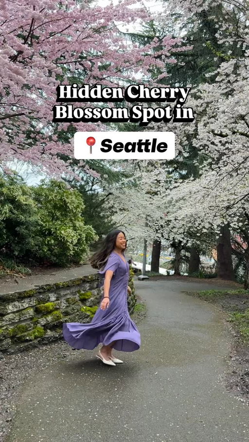 Seattle Girlies - Is this hidden cherry blossom spot in Seattle on your radar this spring?
 
Named after one of Seattle’s international sister cities, the Kobe Terrace is located in Chinatown-International District. You’ll find Mt. Fuji cherry trees blooming in mid-March to early April.

📍650 South Main St, Seattle, WA 98104, United States

Share this with a friend who is excited about cherry blossom season in Seattle! 🌸 

#cherryblossomseason #seattlewashington #cherryblossoms #springflower #thingstodoinseattle 

Where to see cherry blossoms in Seattle, Seattle cherry blossoms, Seattle spring, Chinatown, Seattle influencer