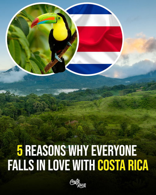 Costa Rica is not a trip it is a full nature obsession.

🌋 Arenal Volcano
Perfect cone volcano views steamy hot springs and wild jungle adventures.

🌫 Monteverde Cloud Forest
Suspension bridges misty treetops and that magical walking above the clouds feeling.

🛶 Tortuguero National Park
Jungle canals untouched nature and insane wildlife spotting.

🏝 Manuel Antonio Park
White sand beaches rainforest trails and monkeys everywhere.

💙 Rio Celeste
That unreal turquoise waterfall that honestly looks photoshopped.

Save this for your Costa Rica bucket list and tell me which one you would visit first 👇

📍 Costa Rica 🇨🇷