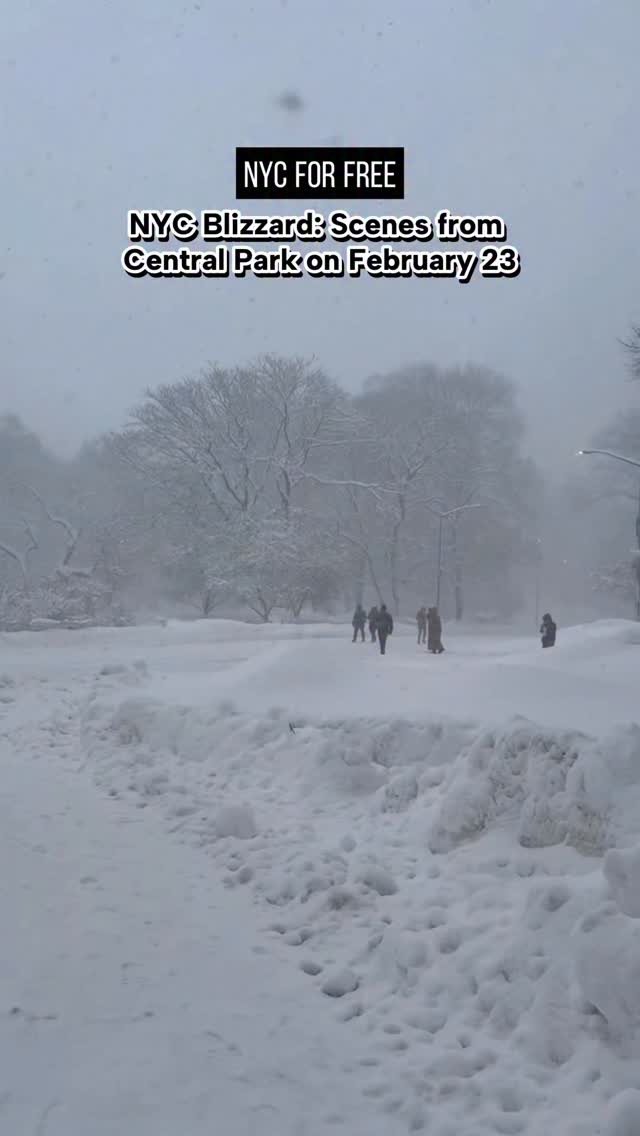 NYC Blizzard: Scenes from Central Park on February 23 ❄️ 

Do you plan to go outside today? 

PS snowball fight Wash Sq Park @ 3PM with @sidetalknyc. Who’s in?

Thanks to @chaiwithextraginger for sharing clips this AM from Central Park

#nycforfree #centralpark