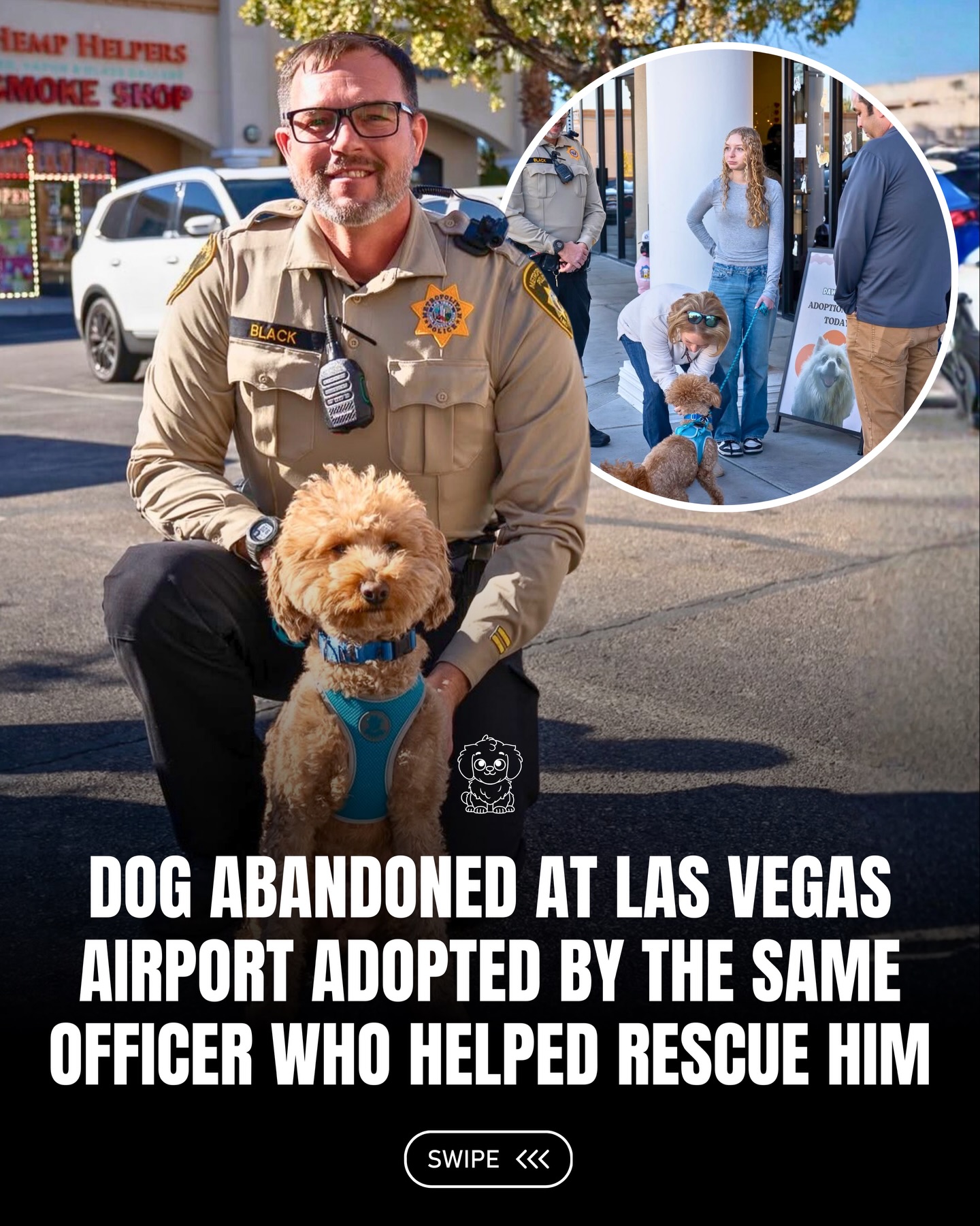 Earlier this month, a 2 year old Goldendoodle was found tied to a baggage sizer at a Las Vegas airport after his owner was denied boarding and chose to leave him behind. Authorities stepped in and the dog, later named Jet Blue, was placed on hold as his story quickly spread. 🐶🐾

What started as a heartbreaking moment turned into something beautiful. One of the responding officers, Skeeter Black, had already been looking to adopt a dog and felt an instant connection with him. After being cleared, Jet Blue went home with the very person who helped rescue him.

Now he is safe, loved, and finally where he belongs.

#fluffy #pets #dogs