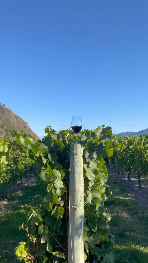 Come for the wine, stay for the food. 🍷🍴

Our Bistro is serving up cozy dishes, perfect pairings, and vineyard views that make it all taste even better.

Make a day of it... We’ll save you a seat.

BC wine, See Ya Later Ranch Winery, Okanagan winery, wine country lunch, winery bistro