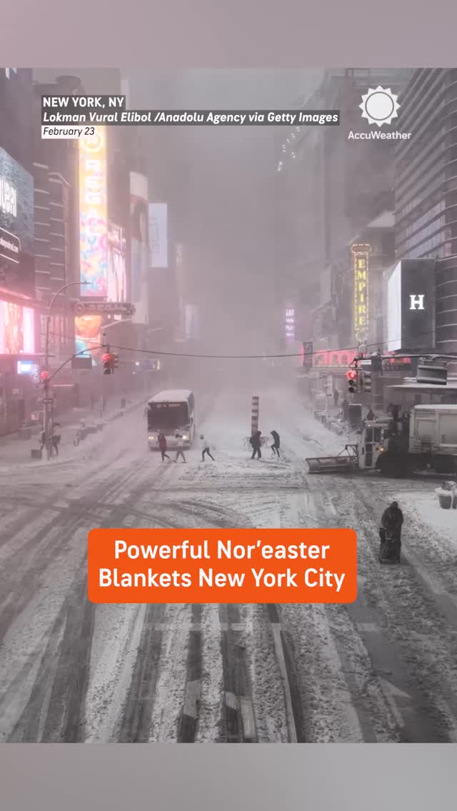 Over 19 inches of snow has been recorded at Central Park as a nor'easter slammed New York City with heavy snow and strong winds.