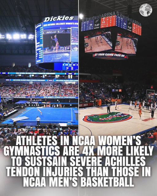 Women’s collegiate gymnastics holds the HIGHEST rates of overall and severe Achilles tendon injuries compared to 16 other sports… and yet only 6% of sports medicine studies focus exclusively on women while 31% are focused on men 😳

Florida’s @riley_mccusker is completing a research elective at @hspecialsurgery where research teams are advancing female athlete representation in sports medicine research and studying sex-specific health outcomes. She’s attached articles in her IG bio if you want to read more!

📸 @gatorsgym @gatorsmbk 
🗞️ Chan et al., 2020, Cowley et al., 2021