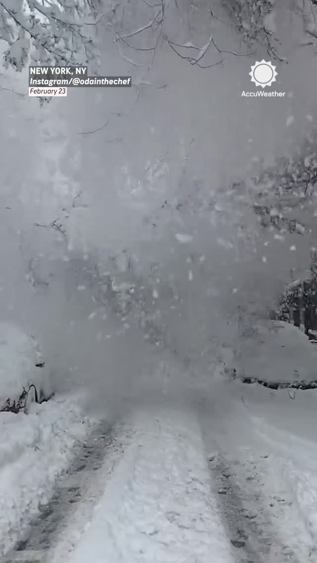 A tree branch in New York City was caught on camera breaking under the weight of the snow and crashing onto a car in SoHo on Monday 😳❄️⁣
⁣
🎥: @odainthechef
