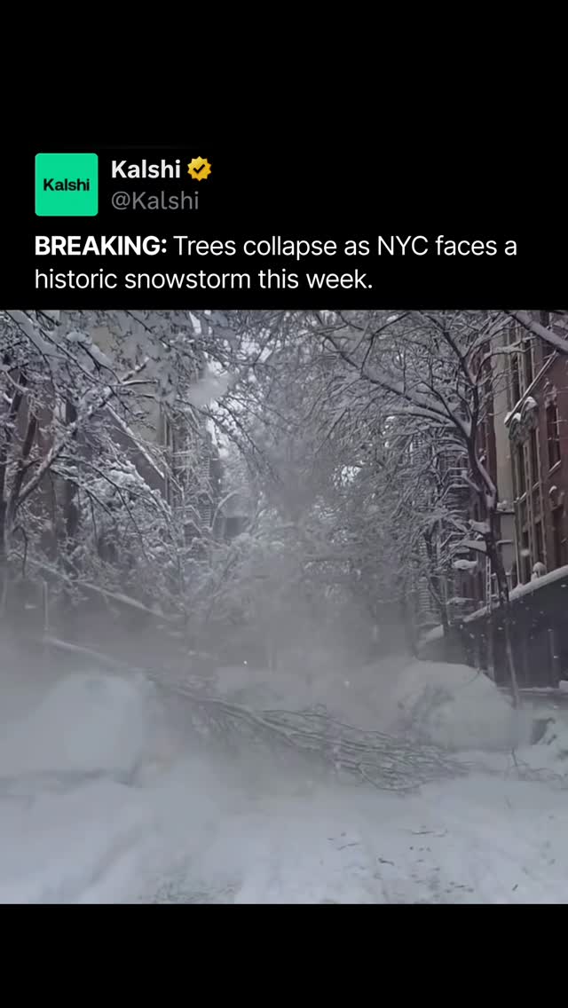 Heavy snow and powerful wind gusts are toppling trees across New York City as a major winter storm moves through the region. 

With blizzard conditions and up to 20 inches of snow forecast in some areas, officials are warning of dangerous travel and possible power outages.