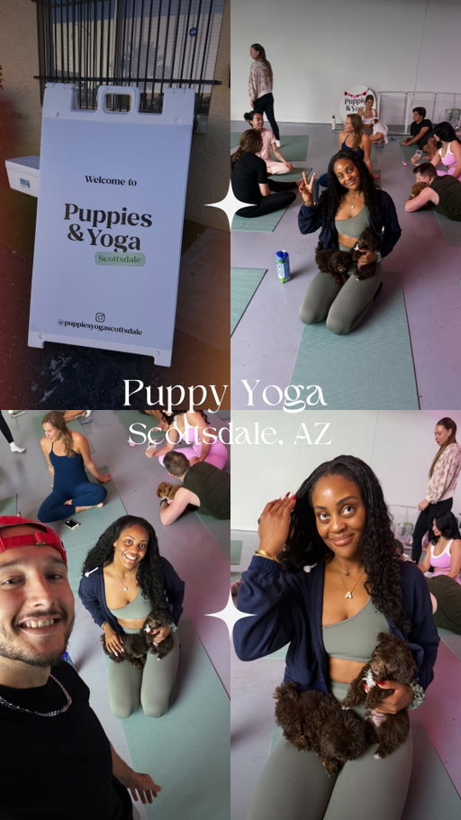 Okay but why did I go to puppy yoga in Old Town Scottsdale and almost left with a mini toy goldendoodle and a new personality trait? 😩

Jonah and I tried this new puppy yoga spot called @puppiesyogascottsdale that just opened in Scottsdale and I’m not exaggerating when I say I was ready to be a cat AND dog mom in the same 24 hours. The puppies rotate every class (which is actually dangerous because now I’m going to convince myself I need to “just see” the next batch), and the little mini toy goldendoodle I held??? That’s my dream dog. Like spiritually. LOL

You start with a little wellness shot, do your yoga flow while puppies casually climb on you and distract you from your core engagement, and then after class it’s straight cuddles and playtime. It’s giving serotonin. It’s giving dopamine. It’s giving “maybe I am responsible enough for a dog?” (I am not. But I want to be.)😂

If you’re looking for things to do in Scottsdale, a cute date idea in Old Town, or a wholesome Arizona weekend activity that will emotionally manipulate you into wanting a puppy….this is it.

Brb adding “mini goldendoodle mom” to my 2026 vision board #arizonaplaces [Hosted]
.
.
.
.
#arizona #phoenix #puppyoga #scottsdale
