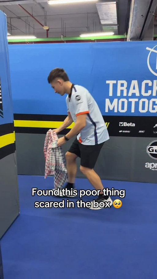 Poor thing 🥺

#ThaiGP